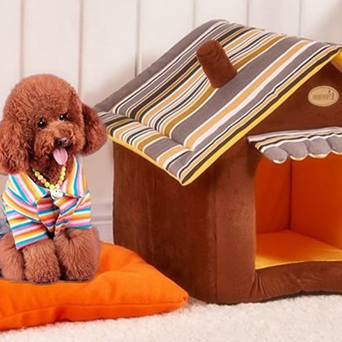 Hospital Veterinario Planeta Vida  - Latacunga Ecuador